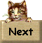 NEXT TO CAT IMAGES